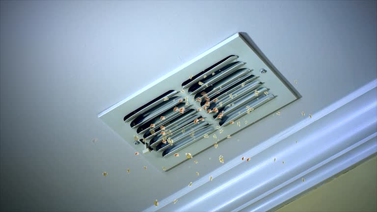 Best Affordable HVAC Duct Cleaning  in Niantic, CT