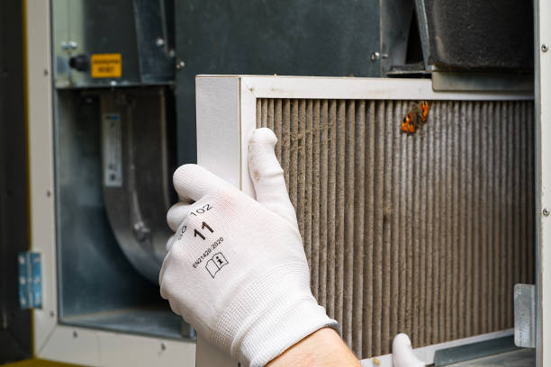 Best Affordable Air Duct Cleaning  in Niantic, CT