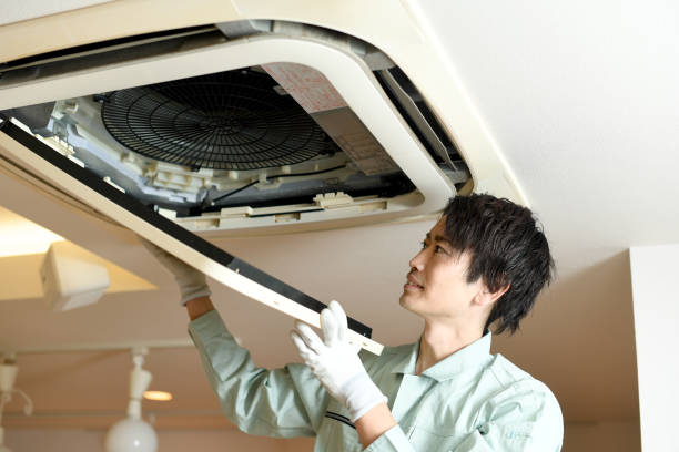 Best Affordable Duct Cleaning Services  in Niantic, CT