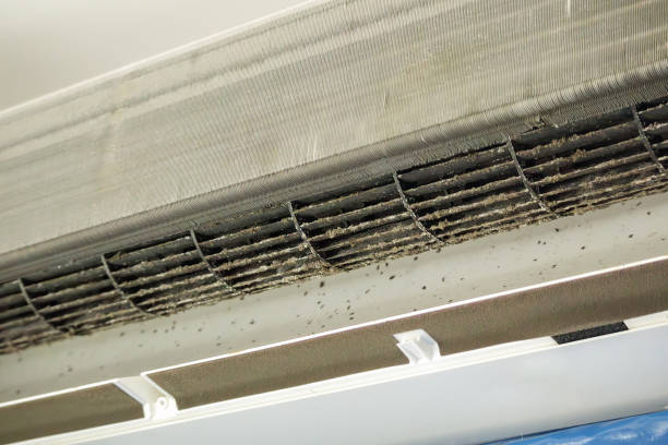 Best Air Duct Cleaning Near Me  in Niantic, CT